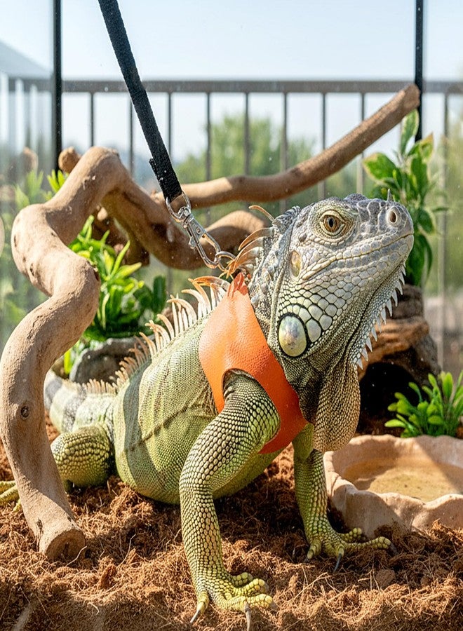 Xyembu Adjustable Bearded Dragon Harness and Leash Set 3 Size Soft Leather Reptile Vest with Traction Rope for Lizards Squirrels Small Animals Outdoor Walking (S, M, L) - Image 5